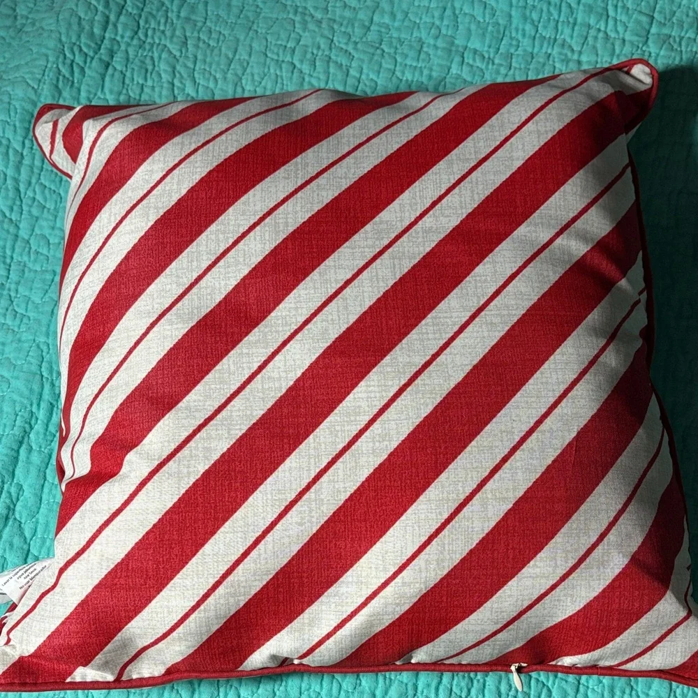 Festive Dog Holiday Pillow Cover